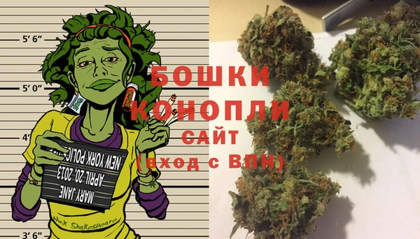 молекула духа Нязепетровск