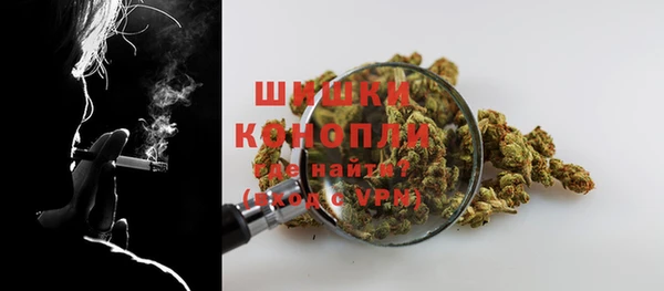 молекула духа Нязепетровск