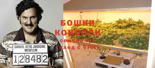 молекула духа Нязепетровск