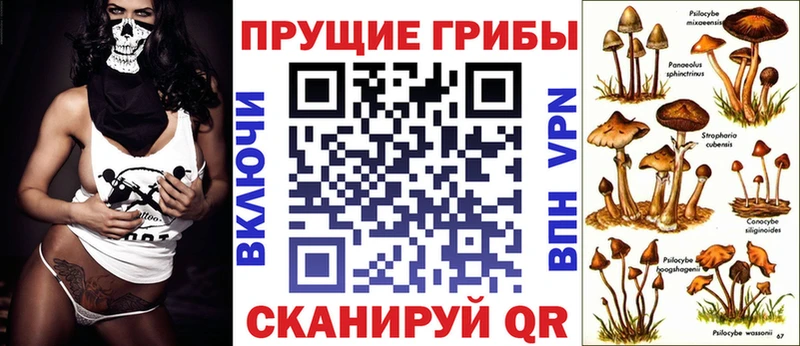 Галлюциногенные грибы Magic Shrooms Ногинск