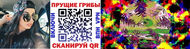 мориарти формула  Ногинск  Галлюциногенные грибы Magic Shrooms 