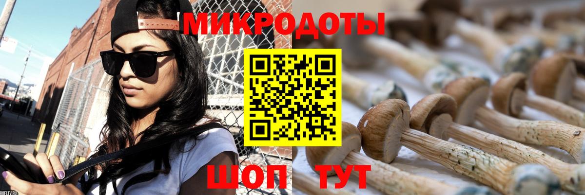 Псилоцибиновые грибы Psilocybine cubensis Ногинск